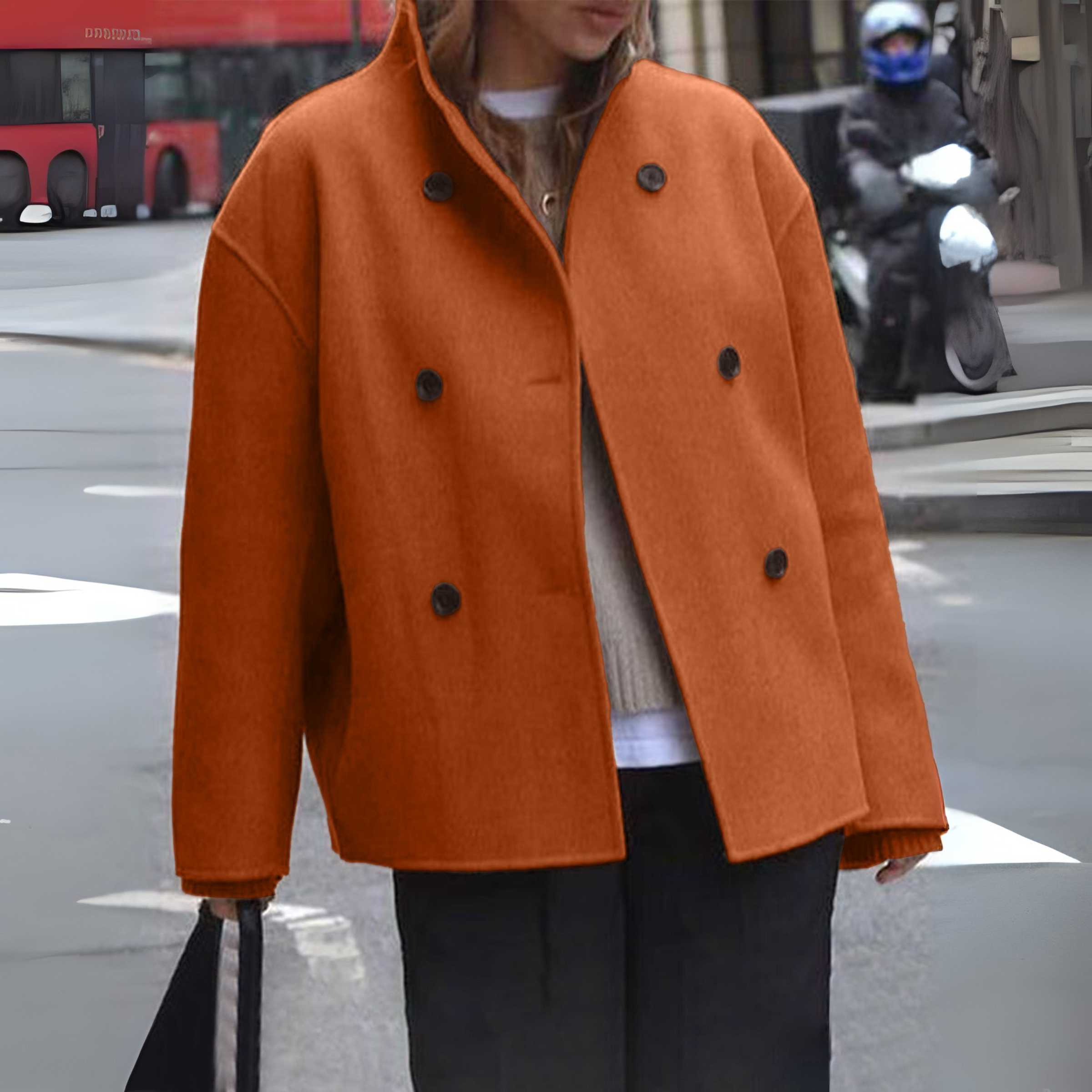 Bini | Cozy Long Sleeve Stand Collar Coat